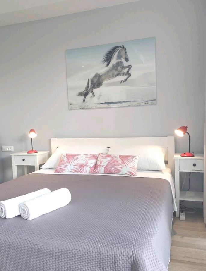 Gorgeous Dubrovnik Sea View Apartment With Free Parking Buitenkant foto